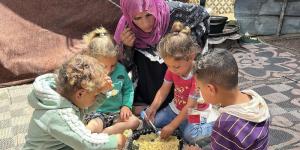 منظمة الفاو: غزة دخلت مرحلة المجاعة واحتمال تفشي الأوبئة - لايف نيوز