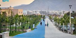 سقيا النباتات بتقنيات ذكية - لايف نيوز