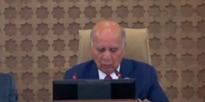 بيان ختامي مرتقب للقمة الاستثنائية في بغداد يؤكد دعم قضايا العرب المركزية - لايف نيوز