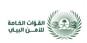 الأمن البيئي يضبط مخالفًا لنظام البيئة لتخزينه حطبًا محليًا في منطقة المدينة المنورة - لايف نيوز