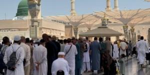 50 ألف زائر للروضة الشريفة يوميا - لايف نيوز