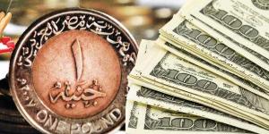 حبس متهمين كبار في قضايا الاتجار بالعُملات الأجنبية بأكثر من 7 ملايين جنيه - لايف نيوز