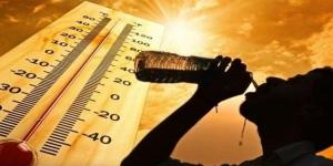 صيف 2025.. حرارة أعلى من المعتاد ومخاوف من تصاعد الظواهر المتطرفة| ماذا سيحدث ؟ - لايف نيوز