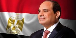 الرئيس السيسي يعود إلى أرض الوطن عقب زيارته للإمارات - لايف نيوز