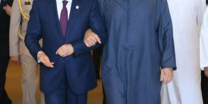 الرئيس السيسي وبن زايد يؤكدان أهمية الوقف الفوري لإطلاق النار بغزة| صور - لايف نيوز
