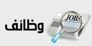 وظائف خالية بتلك المحافظات.. قدم الآن - لايف نيوز