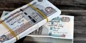 قانون التأمينات الجديد 2025.. ما مصير استحقاق الابن لمعاش والده المتوفى؟ - لايف نيوز