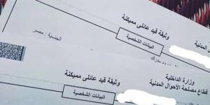 خطوات استخراج القيد العائلي المميكن إلكترونياً 2025 - لايف نيوز