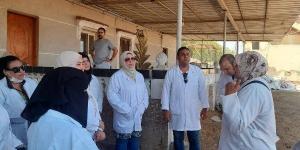 حملات تفتيشية على محال ومنافذ تداول اللحوم والدواجن بزهور بورسعيد - لايف نيوز