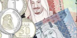 سعر الريال السعودي مقابل الجنيه المصري بالبنوك اليوم 4-7-2035 - لايف نيوز