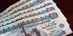 كيفية الحصول على معاش ربات البيوت بدون وظيفة - لايف نيوز