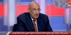 دبلوماسي: الجهد العربي المجمع حقق نتائج إيجابية لصالح القضية الفلسطينية - لايف نيوز