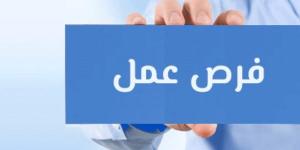 مرتبات تصل لـ10 آلاف جنيه.. وزارة العمل توفر فرصا للتوظيف في محطات المترو - لايف نيوز