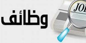 وزارة البترول تحذر: إعلانات التوظيف المنتشرة على مواقع التواصل وهمية - لايف نيوز