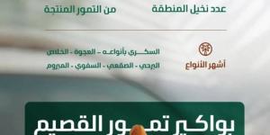 البيئة: موسم جني التمور بالقصيم يعزز الحراك الاقتصادي بالمملكة بإنتاج (390) ألف طن - لايف نيوز
