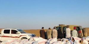 ضبط مواطن و(5) مقيمين خالفوا نظام البيئة باقتلاع أشجار في محمية الملك سلمان - لايف نيوز