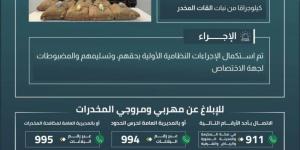 حرس الحدود بجازان يقبض على 8 مخالفين لنظام أمن الحدود لتهريبهم 160 كيلوجرامًا من نبات القات المخدر - لايف نيوز
