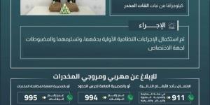 حرس الحدود بعسير يقبض على مخالفين لنظام أمن الحدود لتهريبهما 40 كيلوجرامًا من نبات القات المخدر - لايف نيوز