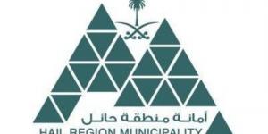 مبادرات لخدمة المطورين - لايف نيوز