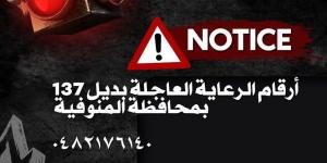 صحة المنوفية تعلن أرقاما بديلة للطوارئ بعد حريق سنترال رمسيس - لايف نيوز