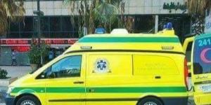 بسبب عطل تقني.. إسعاف البحيرة تخصص أرقامًا بديلة لتلقي البلاغات في الحالات الطارئة والحوادث - لايف نيوز