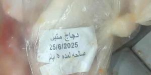 بورسعيد: ضبط 40 كيلوجرامًا من قطع الدجاج منتهية الصلاحية - لايف نيوز