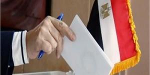 انتخابات مجلس الشيوخ .. تقدم  19 مرشحا لخوض الانتخابات في البحيرة - لايف نيوز