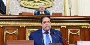 النائب محمد أبو العينين: القضية الفلسطينية قضية مصر الأولى - لايف نيوز