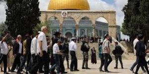 انتهاك جديد لقدسية الأقصى.. المستوطنون يقتحمون الباحات تحت حماية الاحتلال| تقرير - لايف نيوز