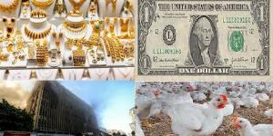 الصحة تعلن حصيلة ضحايا حريق سنترال رمسيس.. ومفاجأة بشأن أسعار الذهب والدولار.. أخبار التوك شو - لايف نيوز