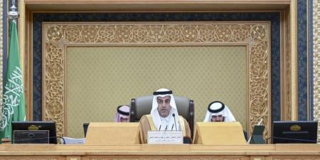 الشورى لتنظيم الإعلام: جودوا واضبطوا محتوى التنشئة والشباب والرياضة - لايف نيوز