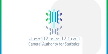 الإحصاء: ارتفاع حصة الاقتصاد الرقمي 15.6% من الناتج المحلي الإجمالي - لايف نيوز