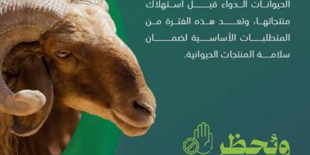 مركز وقاء ينصح بمراعاة ومتابعة فترة التحريم للمستحضرات البيطرية التي يتم إعطاؤها للحيوانات - لايف نيوز