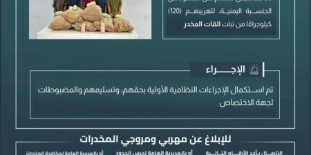 حرس الحدود بجازان يقبض على (5) مخالفين لتهريبهم (120) كيلوجرامًا من القات المخدر - لايف نيوز