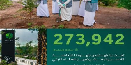زراعة 273 ألف شجرة في المدينة المنورة ضمن جهود مكافحة التصحّر وتنمية الغطاء النباتي - لايف نيوز