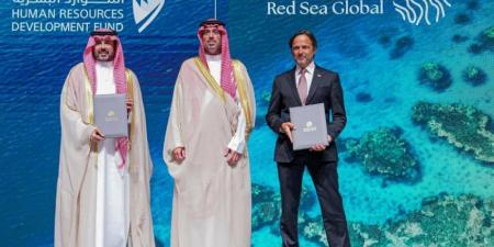 الموارد البشرية يوقّع الاتفاقية الثالثة مع شركة البحر الأحمر لتدريب وتوظيف 1000 شاب وشابة - لايف نيوز