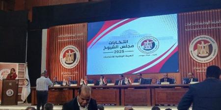 الوطنية للانتخابات: لأول مرة بطاقات اقتراع لذوى الإعاقة البصرية والسمعية - لايف نيوز