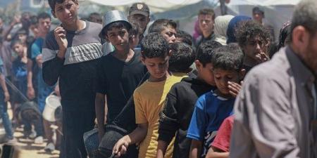 169 منظمة إغاثة تدعو لإنهاء نظام توزيع المساعدات في غزة المدعوم أمريكيا - لايف نيوز