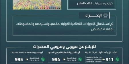 حرس الحدود بعسير يقبض على (6) مخالفين لتهريبهم (100) كيلوجرام من نبات القات - لايف نيوز