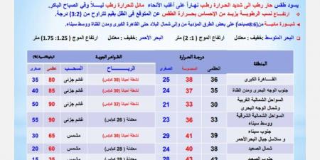 شبورة مائية صباحًا على الطرق ورياح نشطة .. والأرصاد تصدر تحذيرا - لايف نيوز