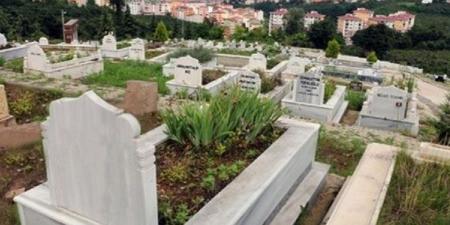 هل زرع الأشجار داخل المقابر تخفف عن الميت؟ دار الإفتاء تجيب - لايف نيوز