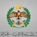 إجراء عاجل من الجيش الأردني بعد الهجوم الإسرائيلي على إيران - لايف نيوز