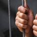 تفاصيل إحالة عامل هتك عرض 3 أطفال داخل حمام مسجد بعزبة الهجانة - لايف نيوز