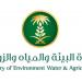 مكاتب البيئة بمنطقة مكة المكرمة تواصل تنفيذ مبادرات سقيا المزروعات - لايف نيوز