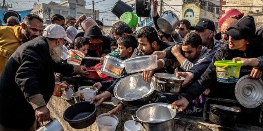 الأغذية العالمي: الجميع في غزة جائع والوصول إلى الطعام يزداد صعوبة يوماً بعد يوم - لايف نيوز