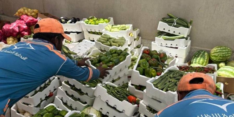 في حملة مشتركة.. ضبط 15 طن من الملابس والخضار للباعة المتجولين المخالفين في الدمام - لايف نيوز