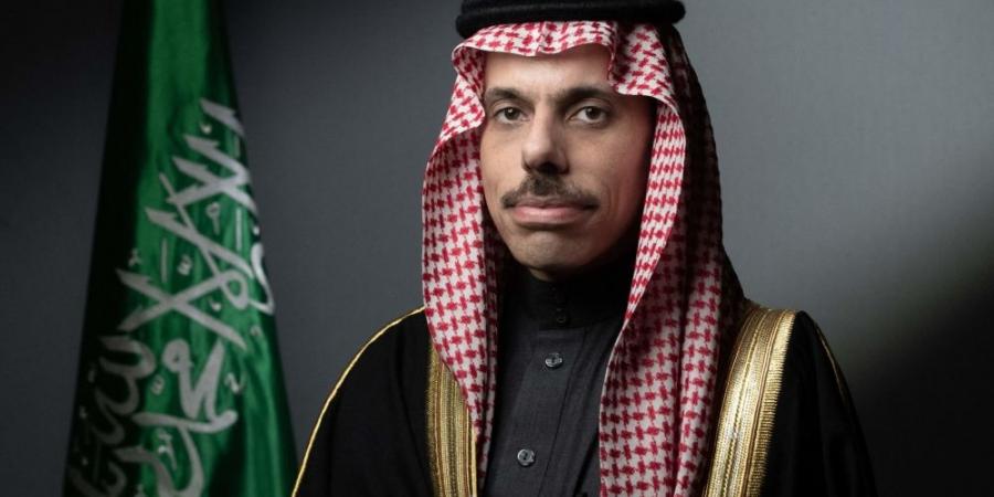 وزير الخارجية يبحث المستجدات الإقليمية والدولية مع نظيرته النمساوية - لايف نيوز