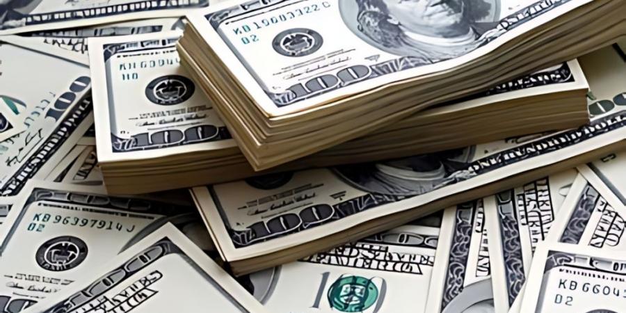 سعر الدولار اليوم مقابل الجنيه.. انخفاض في البنوك المصرية - لايف نيوز