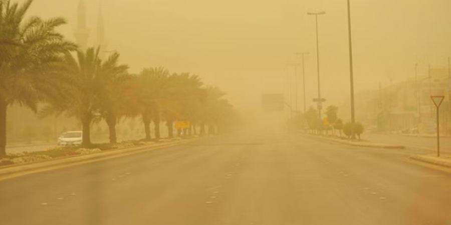 الأرصاد: رياح شديدة على منطقة حائل - لايف نيوز
