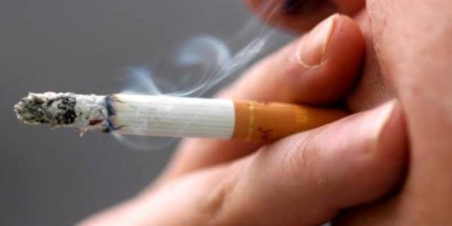 فرنسا تعلن حظر التدخين في الأماكن العامة.. وغرامة على المخالفين - لايف نيوز